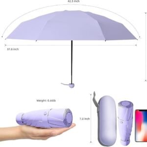 Travel Portable Mini Umbrella with Case
