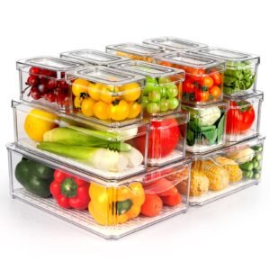 Refrigerator Storage Containers